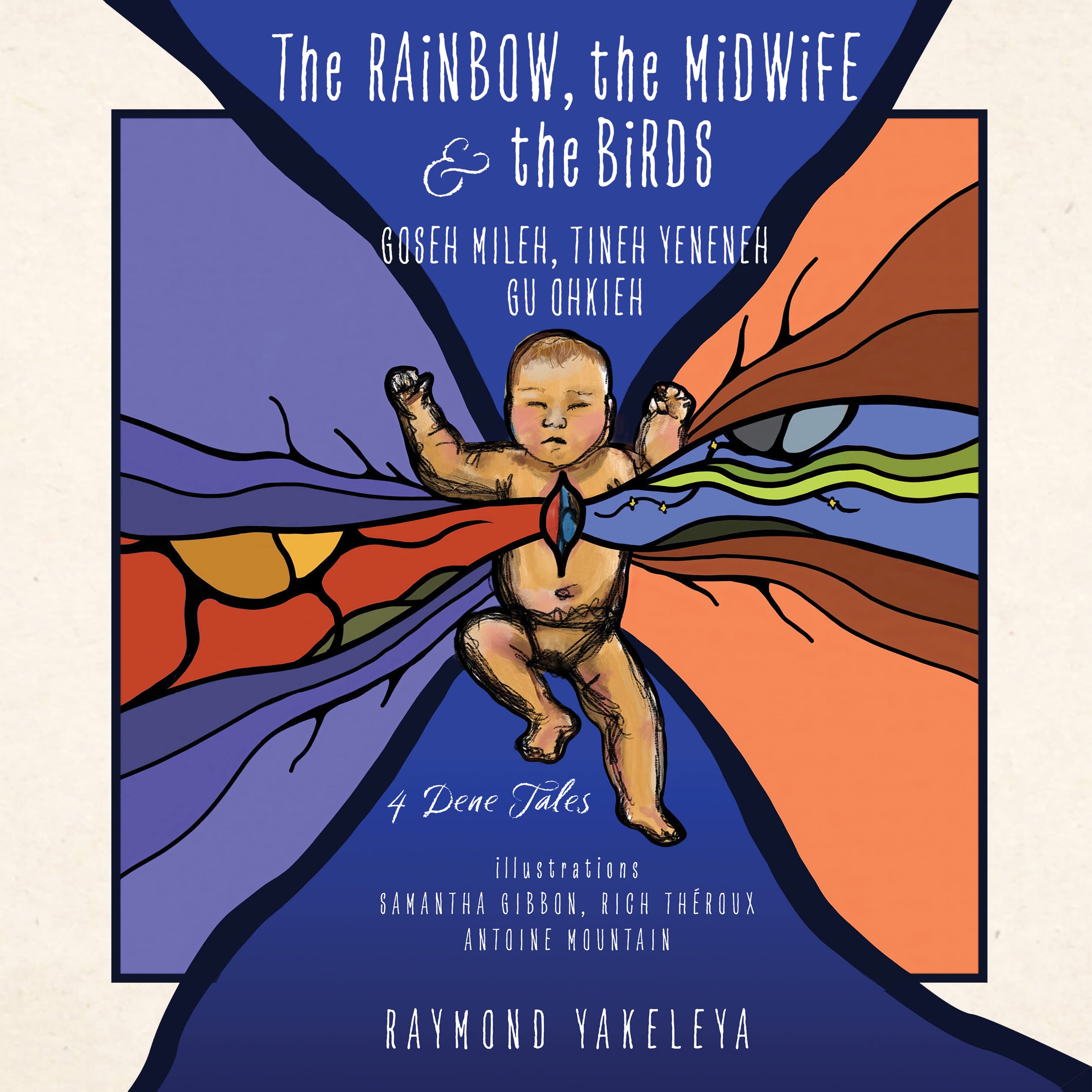 The Rainbow, the midwife, and the birds book cover