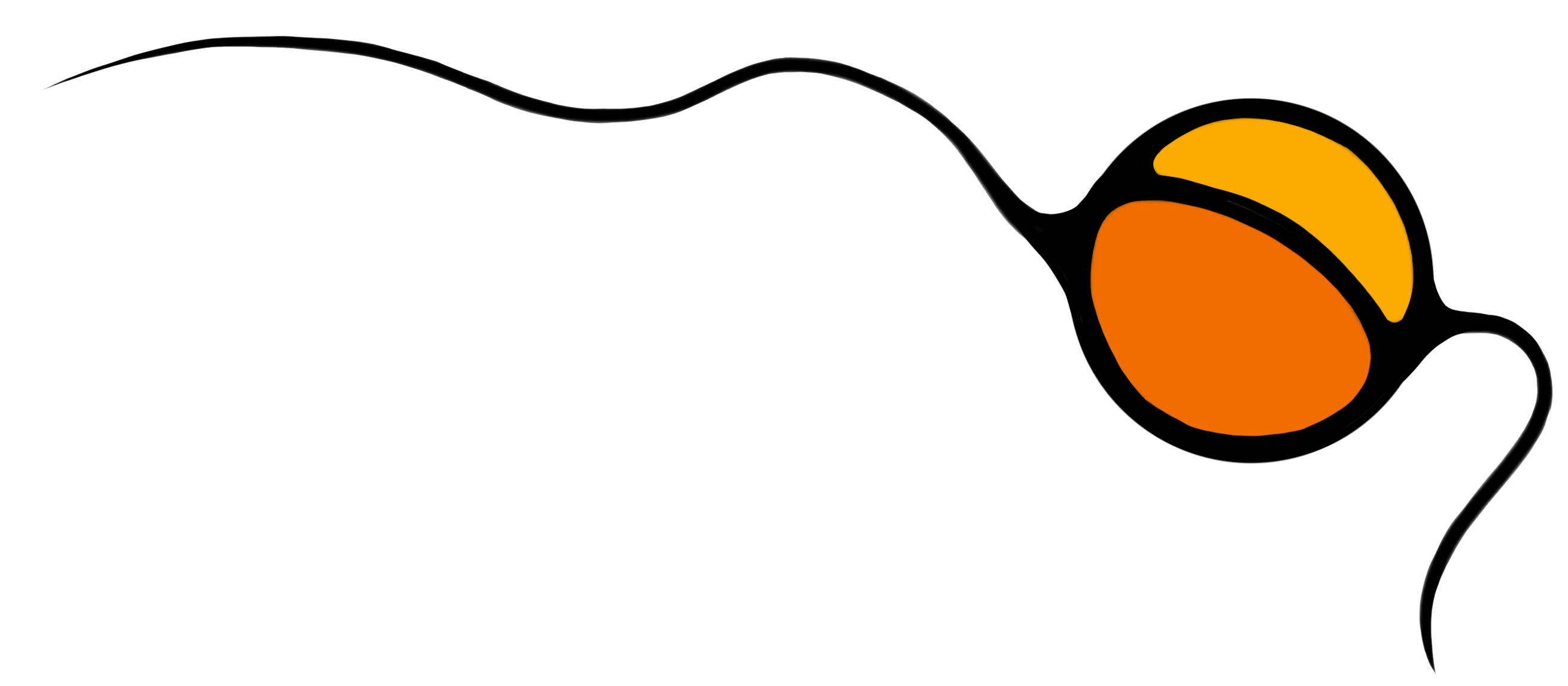 The project logo
